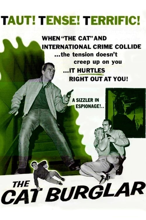 The Cat Burglar (1961) Poster