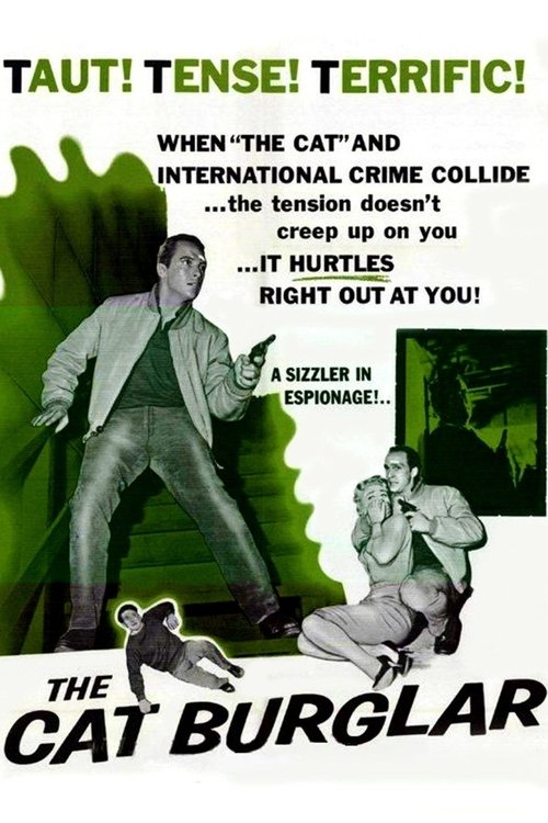 The Cat Burglar poster