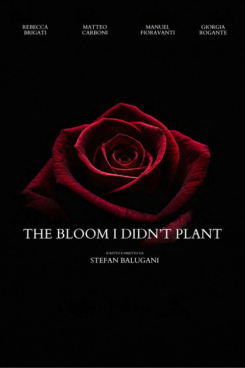 The Bloom I Didn't Plant