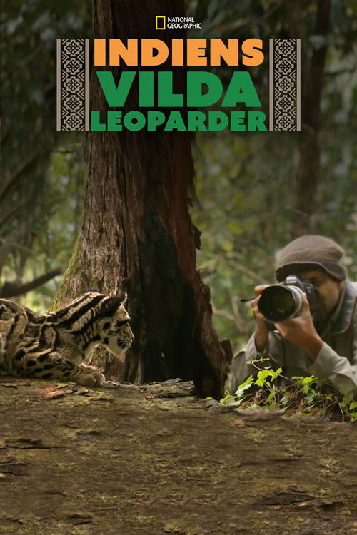 India's Wild Leopards poster