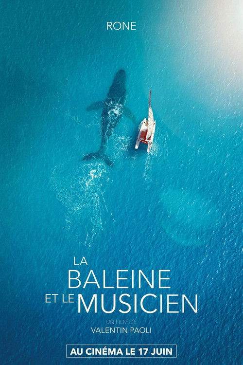 Affiche du film La Baleine et le musicien