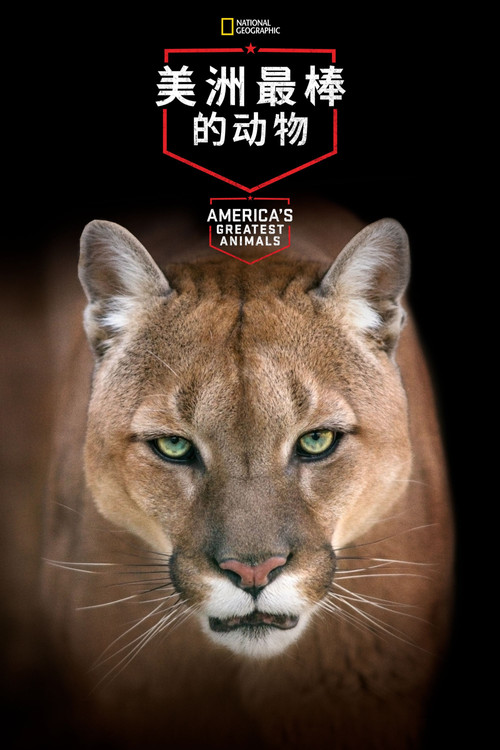 America's Greatest Animals poster