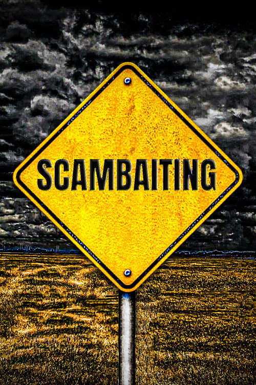 Affiche de The Unseen World of Scambaiting