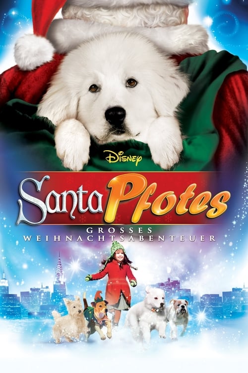 The Search for Santa Paws