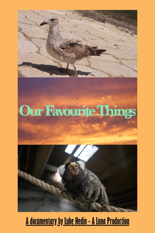 Our Favourite Things