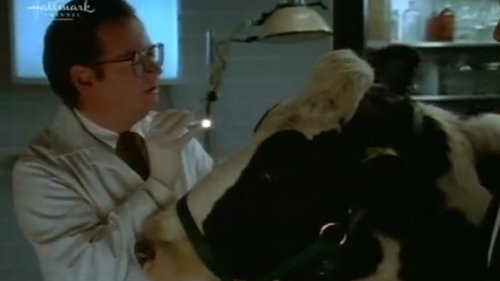 Escena del episodio 10 de la temporada 3 de la serie Picket Fences