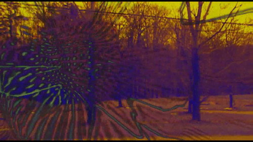 Joose Psychedelia Test