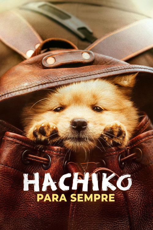 Hachiko Para Sempre