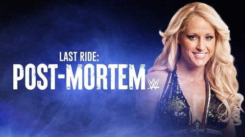 Poster della serie Last Ride: Post-Mortem