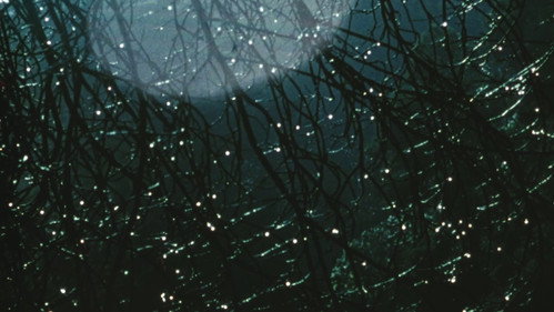 Кадр из Compline