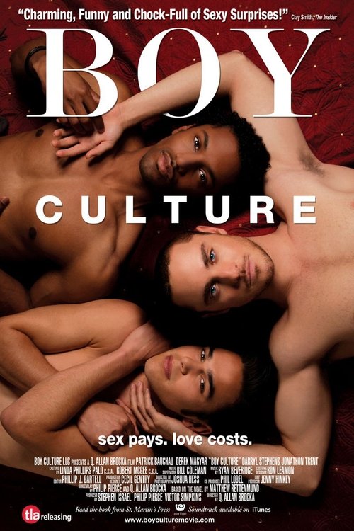 Boy Culture poster