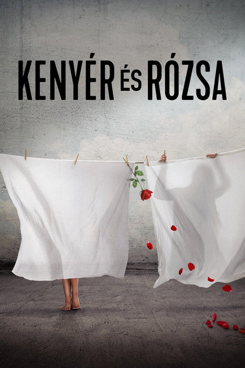 Kenyér és rózsa filmplakátja