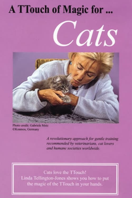 Poster A TTouch of Magic for Cats 1994