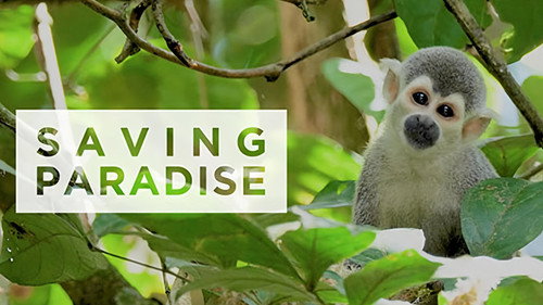 Saving paradise