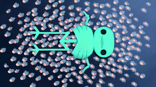 Hora de Aventura: 6×7