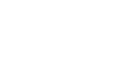Executive Decision