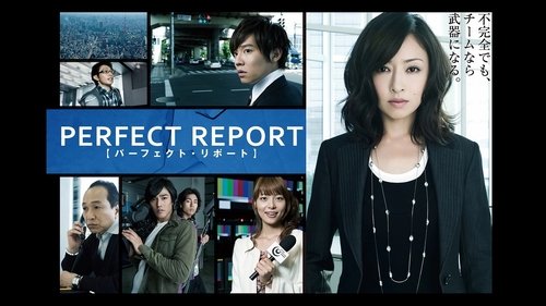 Perfect Report