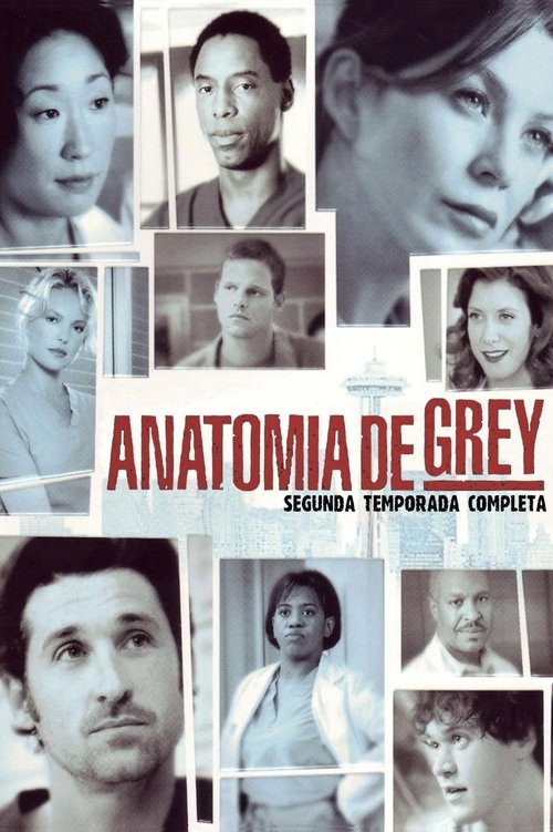 Póster de la temporada 2 de la serie Anatomía de Grey