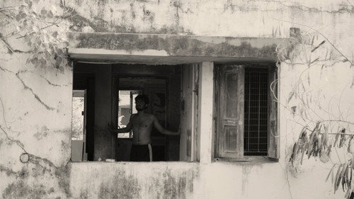 A Fly Floating In The Midst Of The Milk