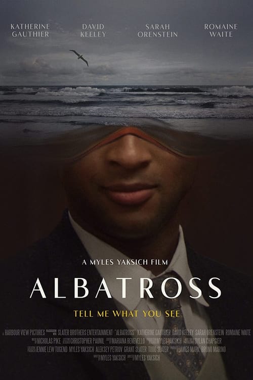 Albatross Poster