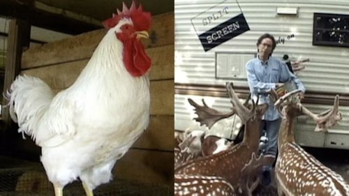 Image de l'épisode 13