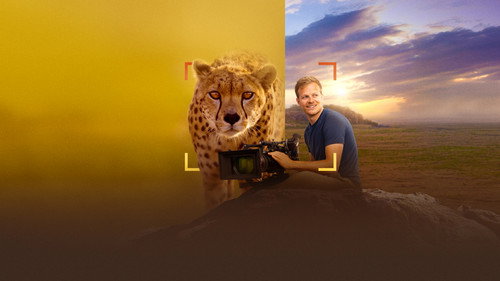 Cheetahs Up Close with Bertie Gregory