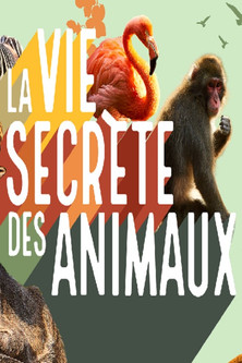 Escena 4 de La vie secrète des animaux