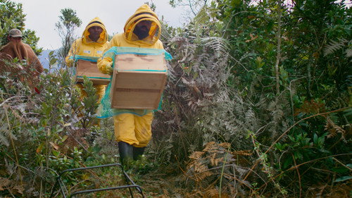 Venezuela and Colombia