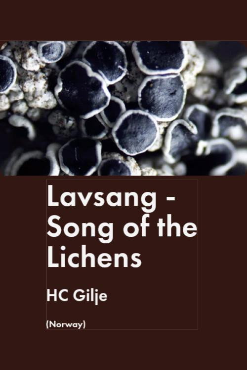 Lavsang - Song of the Lichens poster