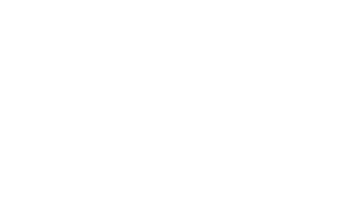 Love and Fury
