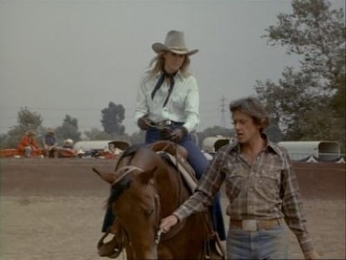 The Bionic Woman, S03E05 - (1977)