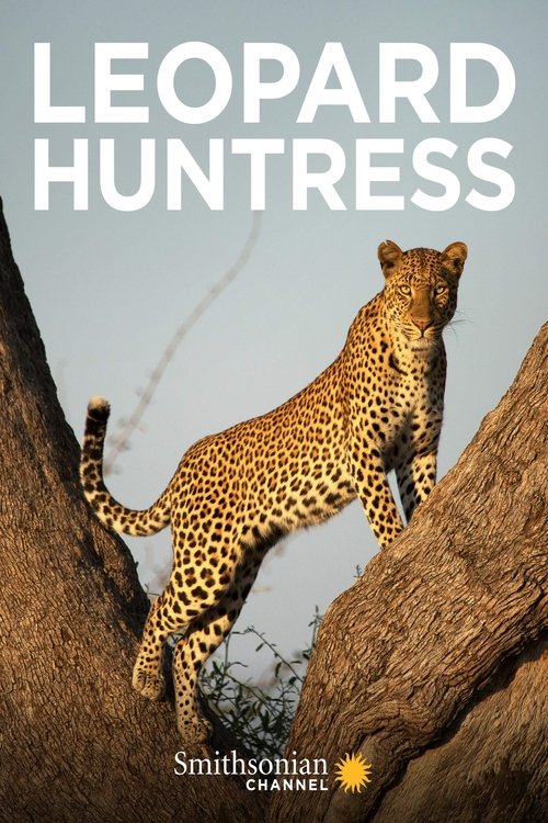 Leopard Huntress movie poster player
