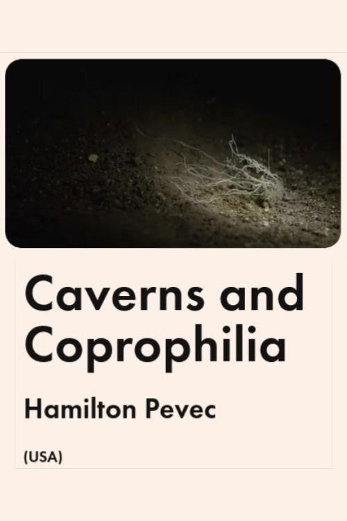 Caverns and Coprophilia