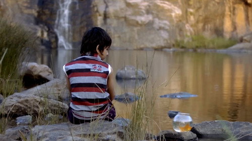 Daaravtha Backdrop Blur