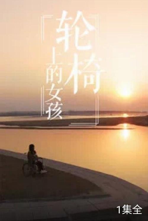 Girl in Wheelchair (2017)