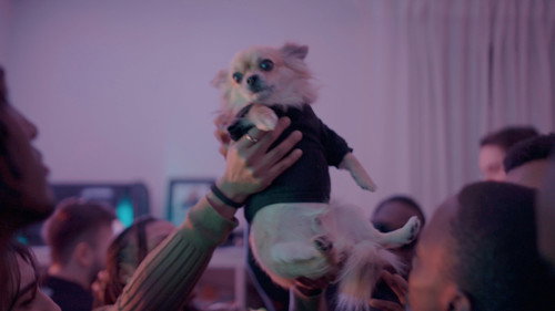 Home Invasion (Short 2025) still