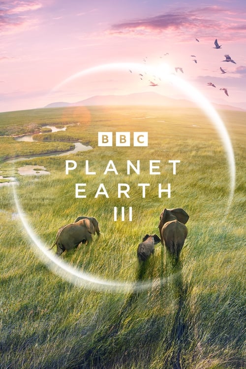 Where to stream Planet Earth III