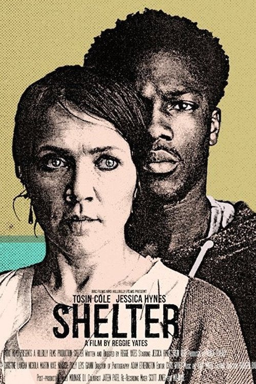 Shelter movie poster player