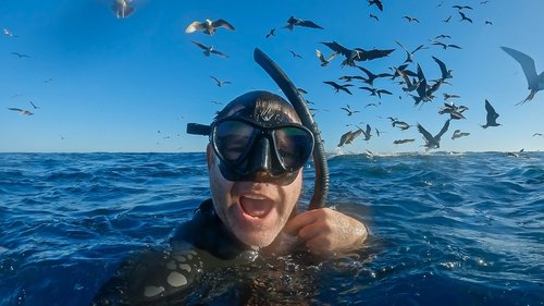 Image de l'épisode 1