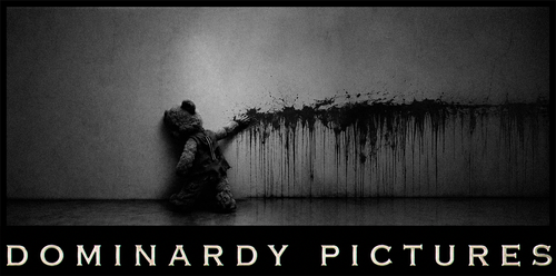 Logo Dominardy Pictures