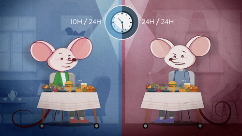 Le jeûne, enquête sur un phénomène