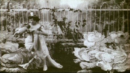 The Cabbage-Patch Fairy The Cabbage-Patch Fairy