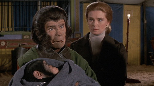 Image du film