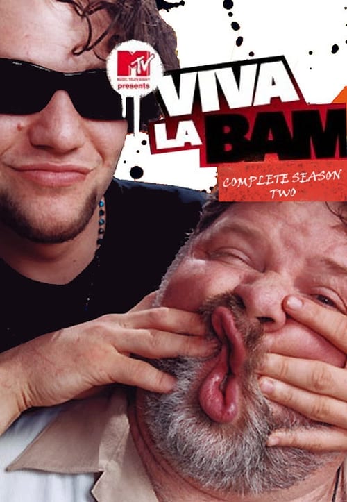 Where to stream Viva la Bam Season 2