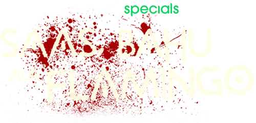 Saas, Bahu Aur Flamingo