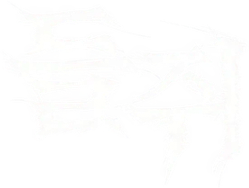 들쥐