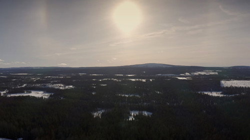 Språket som skulle tystas Backdrop Blur