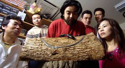 Bushido (Samurai Spirit) still