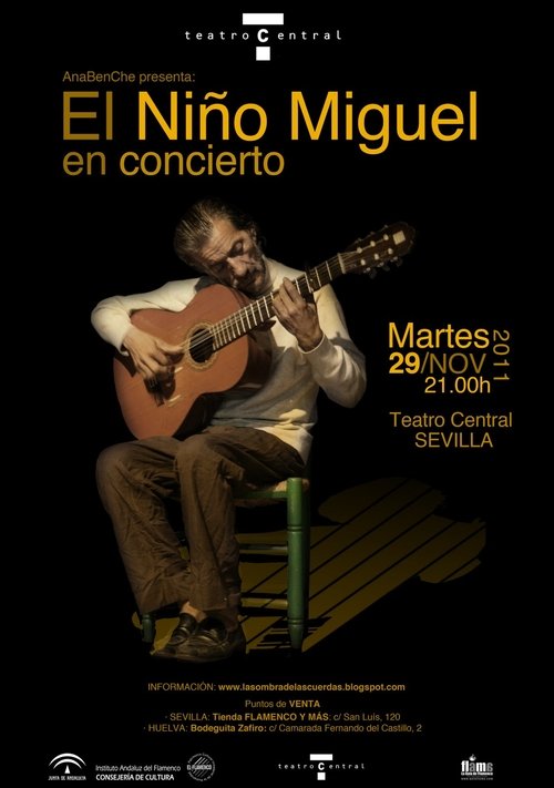 El Niño Miguel, Concierto en el Teatro Central de Sevilla (2011) poster