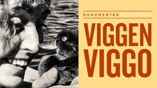 Viggen Viggo Backdrop Blur